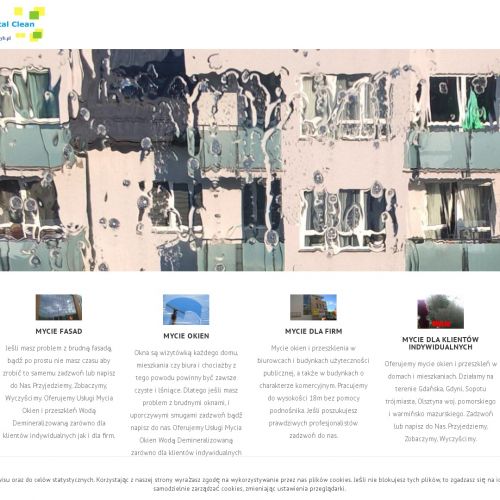 Mycie fasad - Gdańsk