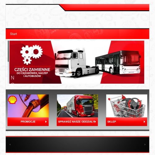 Części tir w Wodzisławiu Śląskim