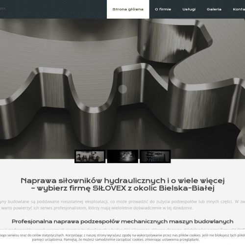 Regeneracja siłowników hydraulicznych - Wadowice