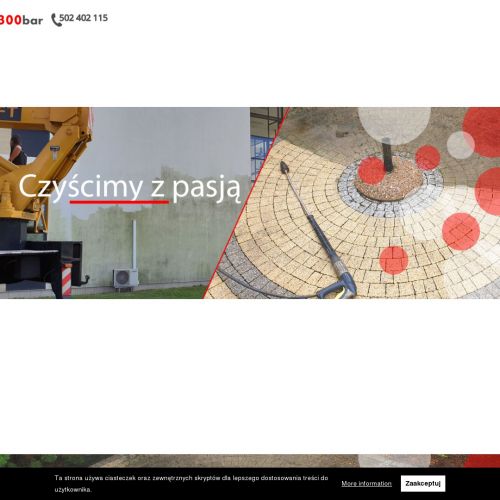 Mycie dachów Poznań