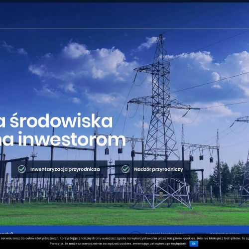 Analiza środowiskowa