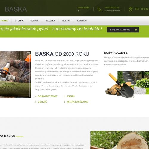 Pielęgnacja zieleni Katowice