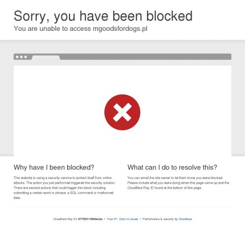 Przysmaki dla psa z dobrym składem